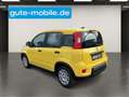 Fiat Panda 1.0 GSE N3 Hybrid (51 KW) 69 PS/ In drei Farben Gelb - thumbnail 14