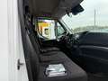 Iveco Daily 35S18/175CV/3.0/SPONDA/2022 Blanc - thumbnail 8