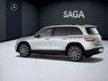 Mercedes-Benz EQB 250 + Plateado - thumbnail 29