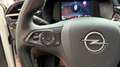 Opel Corsa 1.5 Innovation Ideale Neopatentati *PREZZO REALE* Bianco - thumbnail 14