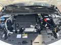 Opel Astra Edition*SHZ/LHZ*GJR*Carplay*PDC*RFK* Weiß - thumbnail 16