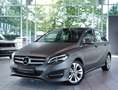 Mercedes-Benz B 220 4Matic Urban *1.Hand *MwSt. *AHK *Kamera * Grey - thumbnail 1