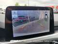 Ford Focus 1.5 Ecoblue Business Argento - thumbnail 9