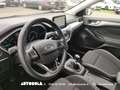 Ford Focus 1.5 Ecoblue Business Argento - thumbnail 4