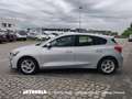 Ford Focus 1.5 Ecoblue Business Argento - thumbnail 2