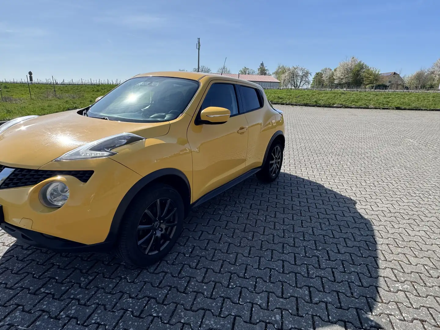 Nissan Juke 1.6 Tekna - 2