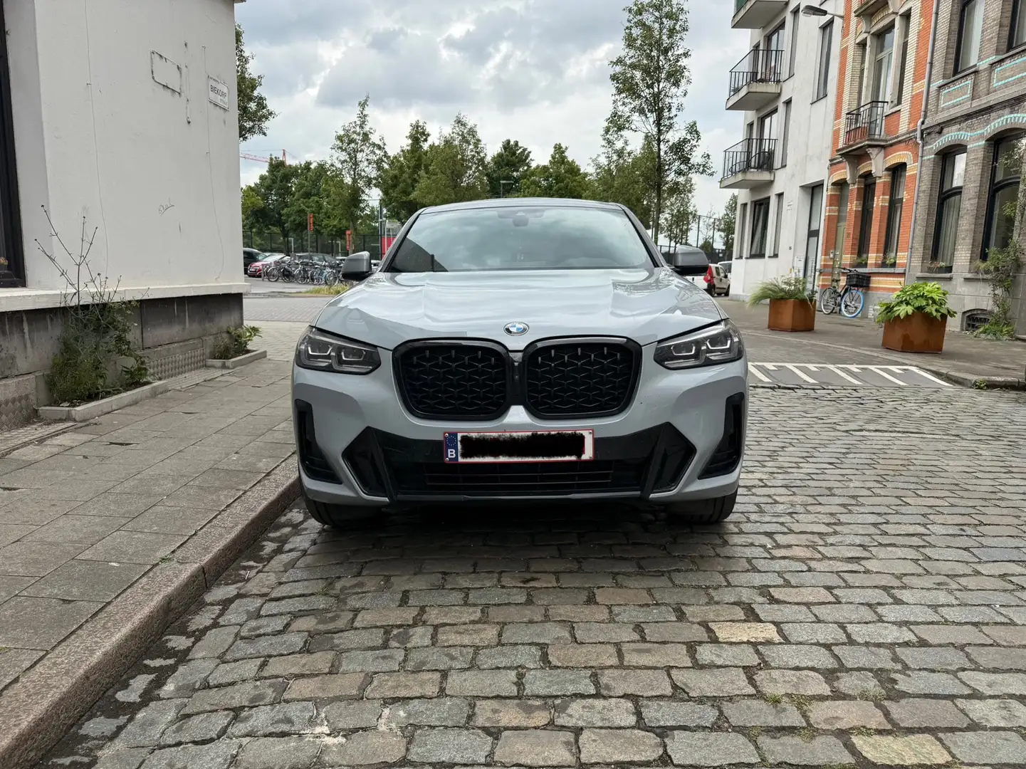 BMW X4 X4 xDrive30i Aut. Gris - 2
