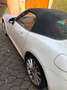 Fiat 124 Spider 124 Spider 1.4 MultiAir Turbo Alb - thumbnail 2