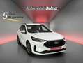 Ford Kuga 2.5 Duratec FHEV ST-Line 4x2 Aut. Blanco - thumbnail 3