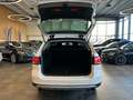 Volkswagen Passat Alltrack Variant Basis BMT 4Motion *AHK* Bílá - thumbnail 8