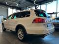 Volkswagen Passat Alltrack Variant Basis BMT 4Motion *AHK* Bílá - thumbnail 7