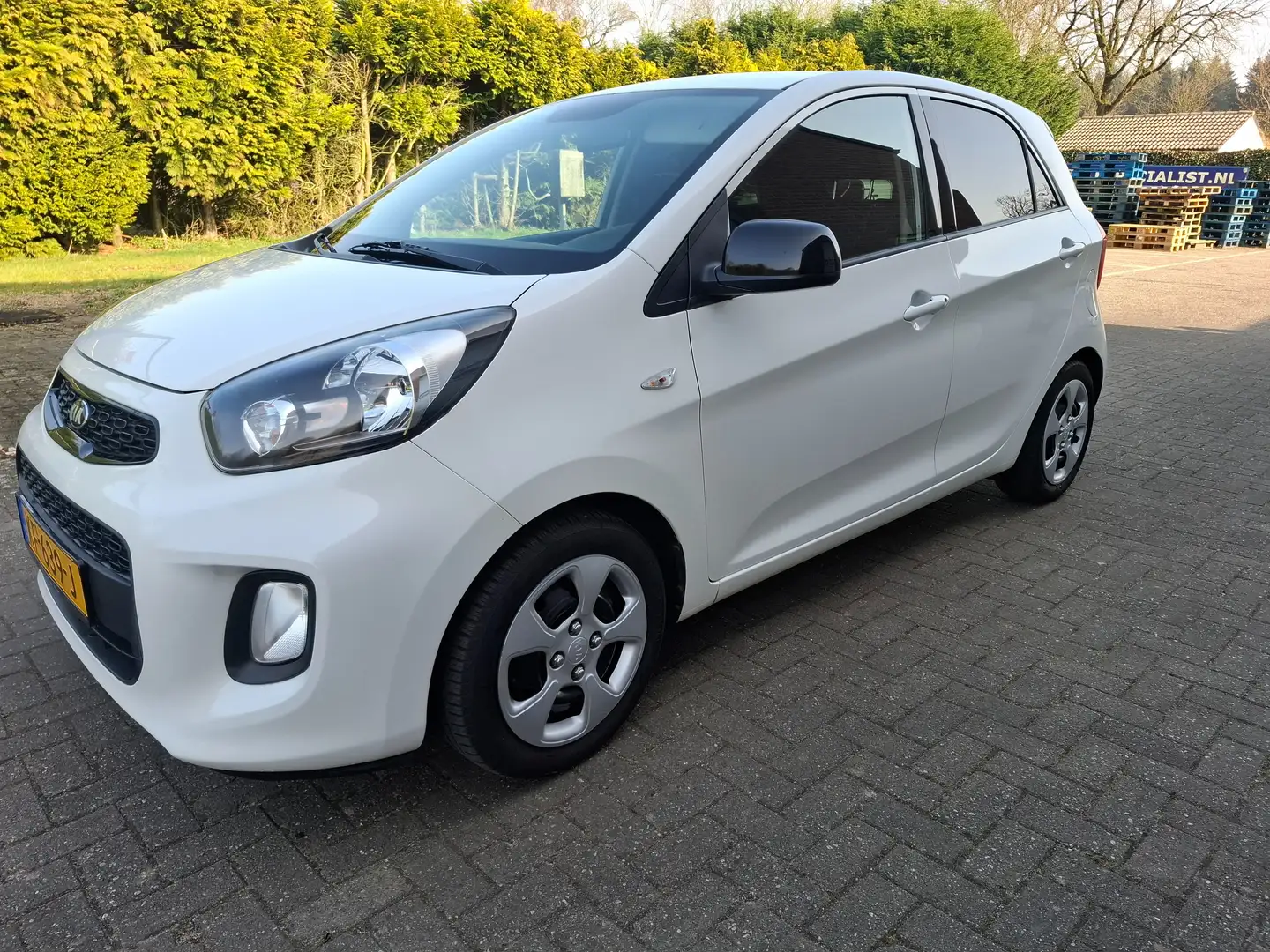 Kia Picanto Picanto+1.0+CVVT+DynamicLine Blanco - 1