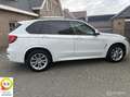 BMW X5 xDrive30d|Grijs Kenteken|MARGE|Panoramadak|EURO6|C Blanc - thumbnail 10