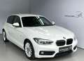 BMW 116 d Sport Line *LED*Sportsitz*PDC*FernlichtAsisst Weiß - thumbnail 1