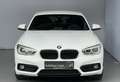 BMW 116 d Sport Line *LED*Sportsitz*PDC*FernlichtAsisst Weiß - thumbnail 22