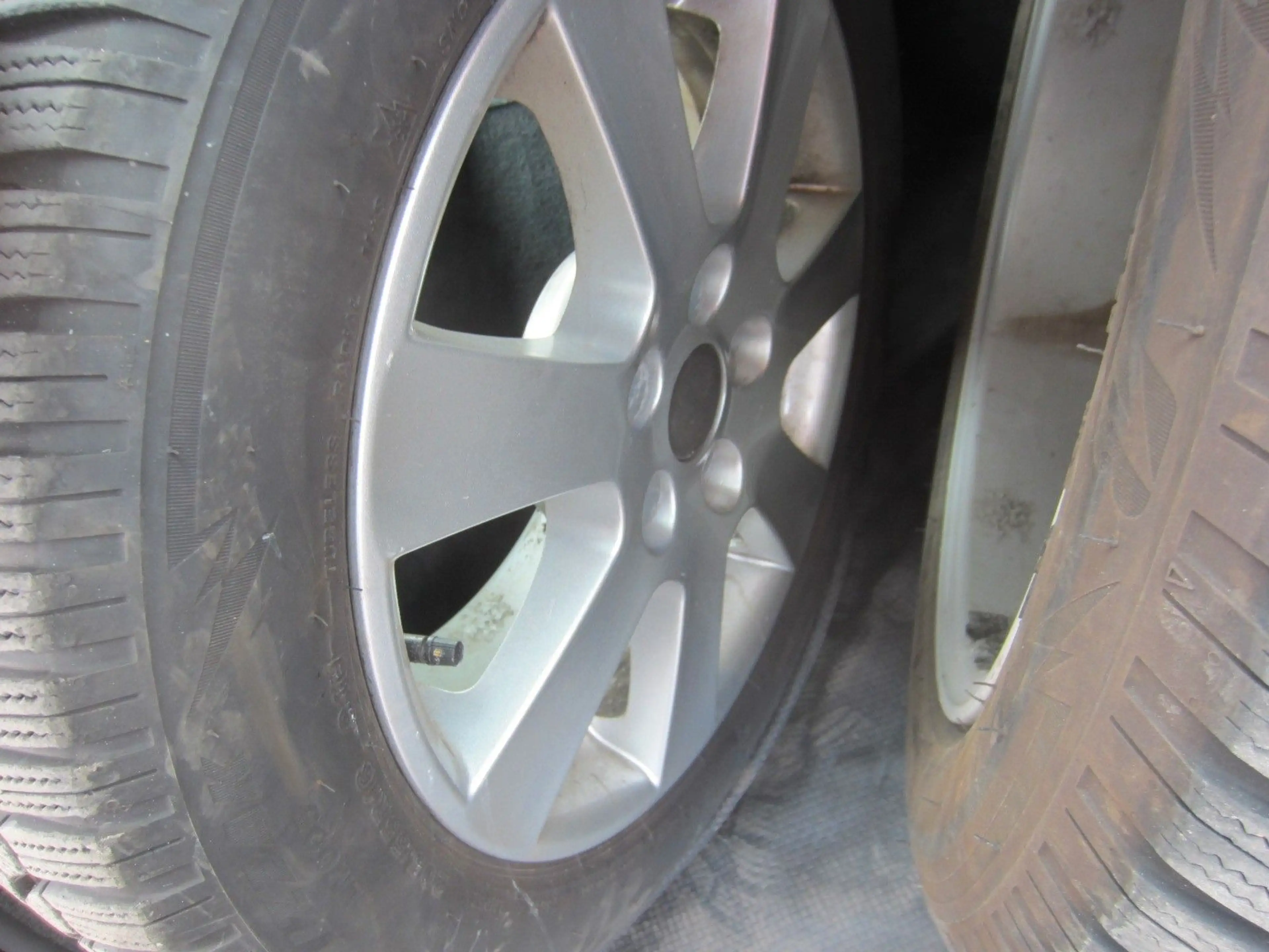 Volvo V50 Momentum — photo 15