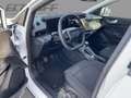 Ford Puma 1.0 EcoBoost Mild Hybrid S/S Titanium *LED Weiß - thumbnail 7