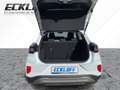 Ford Puma 1.0 EcoBoost Mild Hybrid S/S Titanium *LED Blanco - thumbnail 6