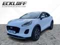 Ford Puma 1.0 EcoBoost Mild Hybrid S/S Titanium *LED Weiß - thumbnail 1