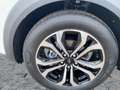 Ford Puma 1.0 EcoBoost Mild Hybrid S/S Titanium *LED Weiß - thumbnail 11