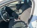 Ford Focus Turnier 1.5 EcoBlue Trend *LED AHK Klima* Weiß - thumbnail 8