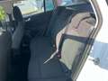 Ford Focus Turnier 1.5 EcoBlue Trend *LED AHK Klima* Weiß - thumbnail 13