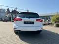 Ford Focus Turnier 1.5 EcoBlue Trend *LED AHK Klima* Weiß - thumbnail 3