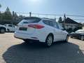 Ford Focus Turnier 1.5 EcoBlue Trend *LED AHK Klima* Weiß - thumbnail 4