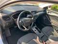 Ford Focus Turnier 1.5 EcoBlue Trend *LED AHK Klima* Weiß - thumbnail 9