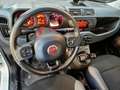 Fiat Panda 4x4 1.3 mjt  95 CV DIESEL * IN ARRIVO * Bianco - thumbnail 6