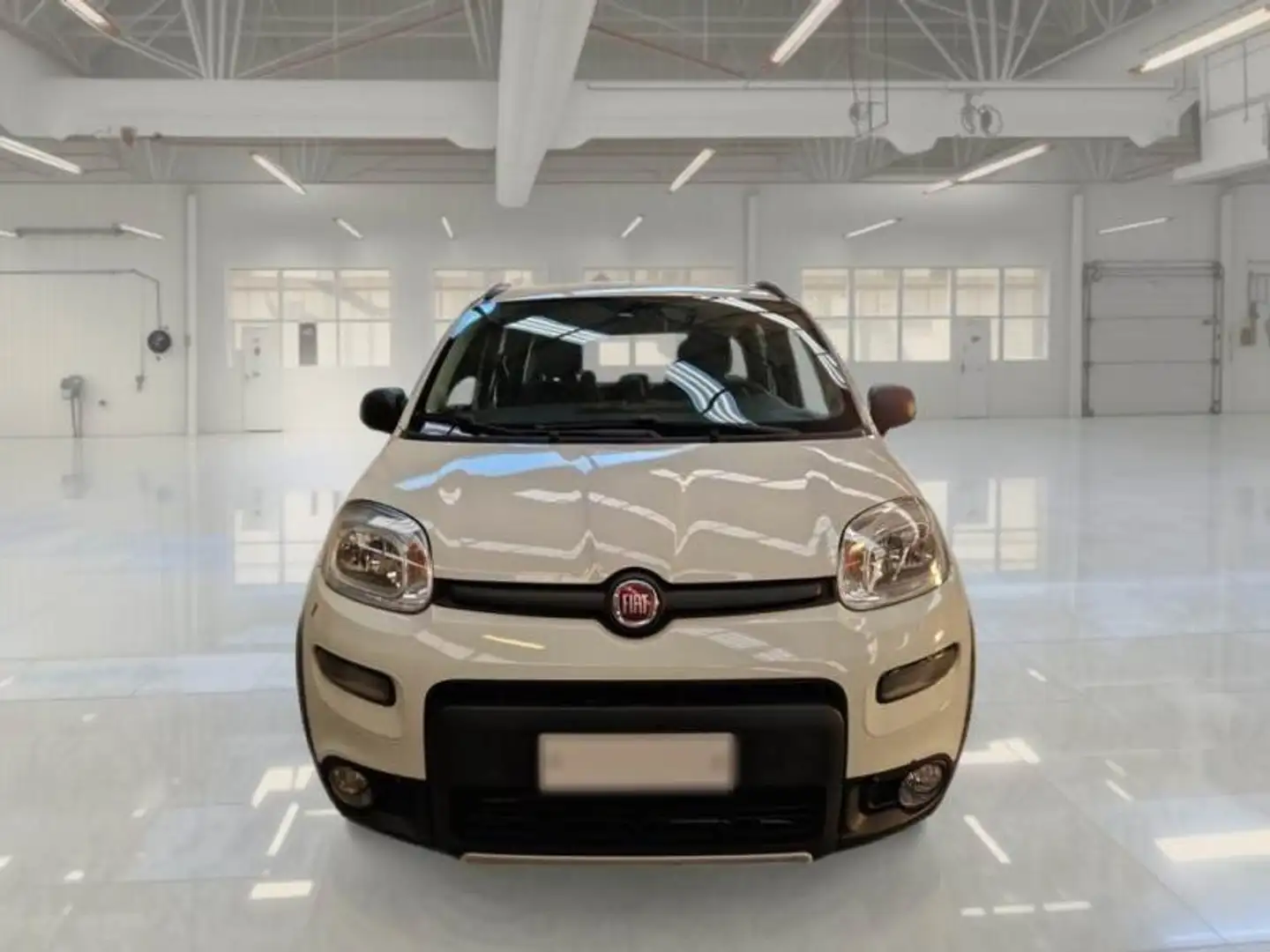 Fiat Panda 4x4 1.3 mjt  95 CV DIESEL * IN ARRIVO * Bianco - 2