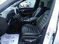 Volkswagen Touareg 3.0 TSIe 4Mot Hybrid R LINE PANO/HUD/AIRSUS Weiß - thumbnail 17