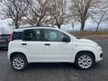 Fiat Panda III 2013 0.9 t.air t. natural power Pop 80cv Bianco - thumbnail 6