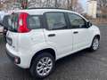 Fiat Panda III 2013 0.9 t.air t. natural power Pop 80cv Bianco - thumbnail 7
