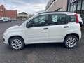 Fiat Panda III 2013 0.9 t.air t. natural power Pop 80cv Bianco - thumbnail 10