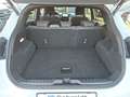 Ford Puma 1.0 EcoBoost ST-Line Weiß - thumbnail 13
