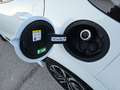 Ford Puma 1.0 EcoBoost ST-Line Weiß - thumbnail 25