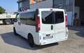 Opel Vivaro 200cc diesel 9 posti - thumbnail 7