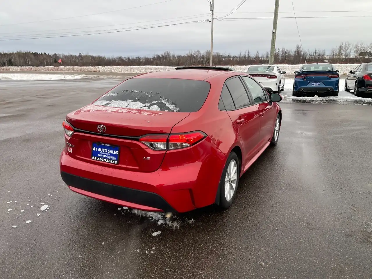 Toyota Corolla снимка Toyota Corolla