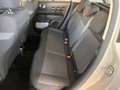 Citroen C3 1.5 bluehdi You! 100cv S&S ufficiale Citroen Beige - thumbnail 17