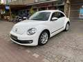 Volkswagen Beetle TSI BMT CUP/1.Hand/Klimaautom./APS/SH/Tempomat Blanco - thumbnail 2