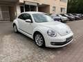 Volkswagen Beetle TSI BMT CUP/1.Hand/Klimaautom./APS/SH/Tempomat Blanco - thumbnail 1