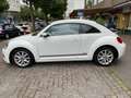 Volkswagen Beetle TSI BMT CUP/1.Hand/Klimaautom./APS/SH/Tempomat Biały - thumbnail 11