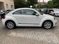 Volkswagen Beetle TSI BMT CUP/1.Hand/Klimaautom./APS/SH/Tempomat Beyaz - thumbnail 10