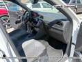 Volkswagen Tiguan 1.5 tsi r-line 150cv dsg Bianco - thumbnail 22