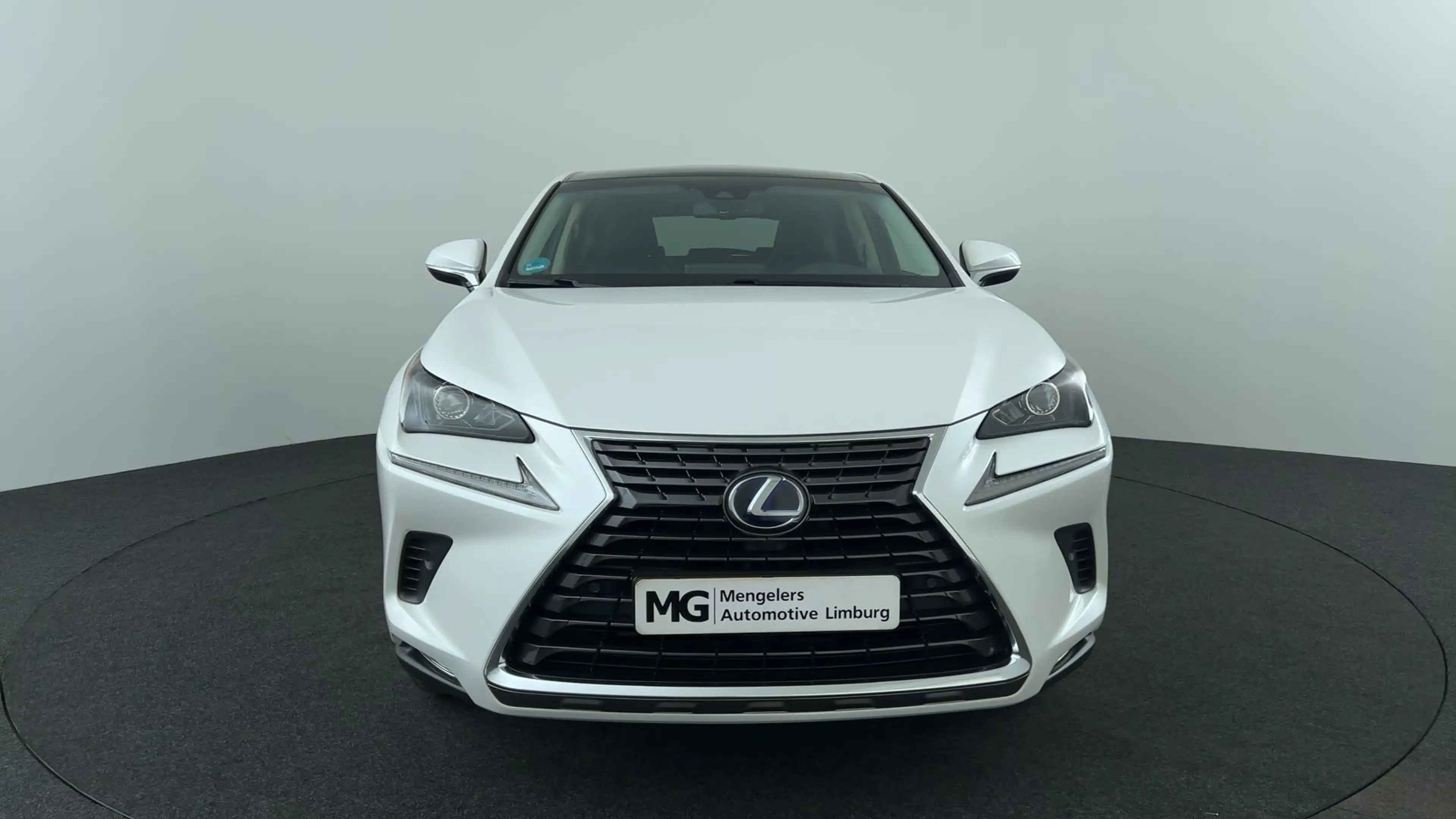 Lexus NX 300h AWD Luxury Line, Panodak, trekhaak! — photo 9