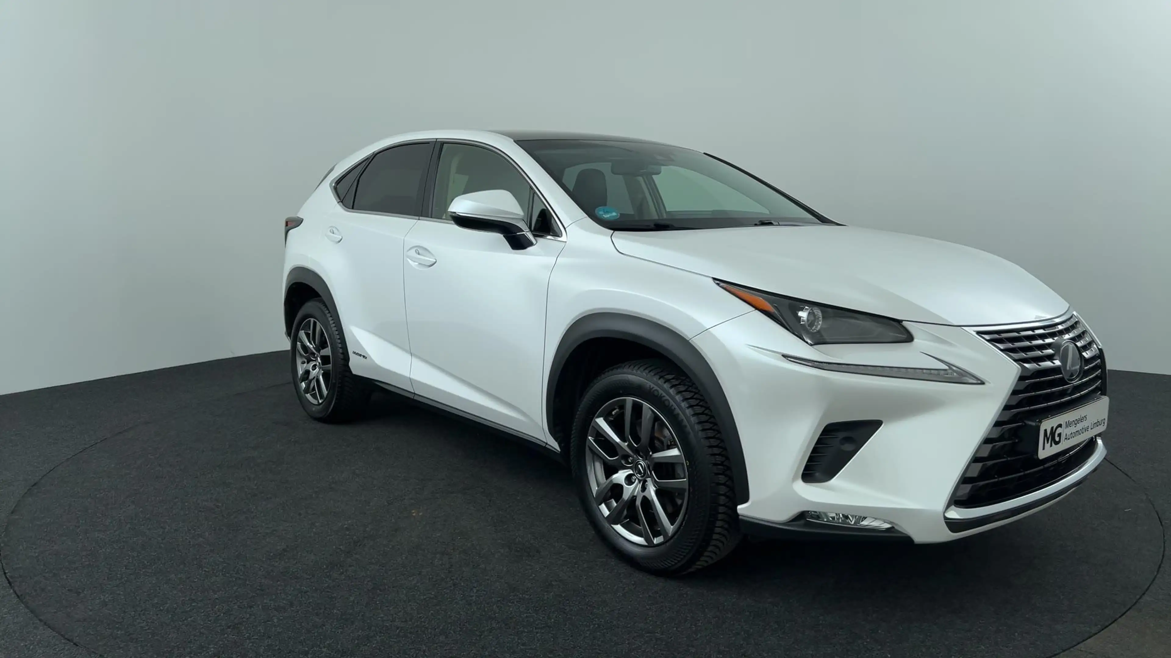 Lexus NX 300h AWD Luxury Line, Panodak, trekhaak! — photo 8
