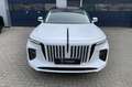 Hongqi E-HS9 President Line 99 kWh | Panoramadak | Luchtvering Wit - thumbnail 9