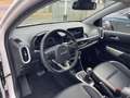 Kia Picanto 1.2 X-Line*Lenk.Hz*AppleCarPlay* Weiß - thumbnail 19