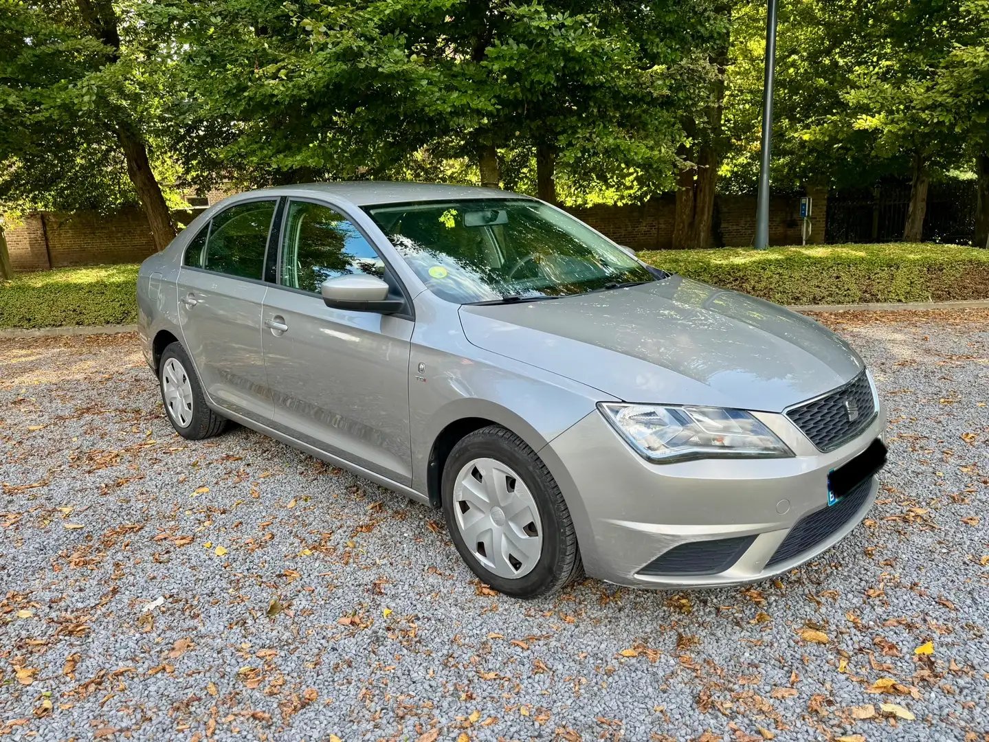 SEAT Toledo 1.6tdi 105pk Airco Euro5 Gris - 2
